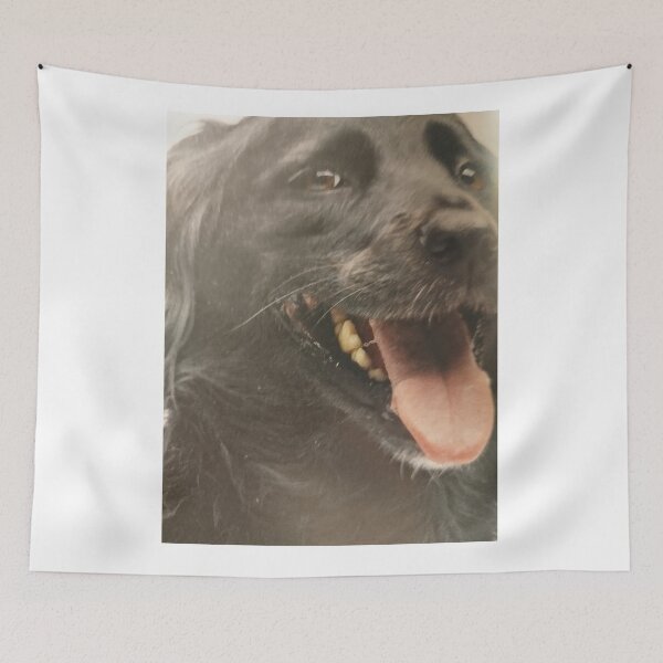 Item preview, To be a photomodel, and on a photo he is smiling in all teeth, scratching behind an ear, or tail wags. designed and sold by Valgasnews011.