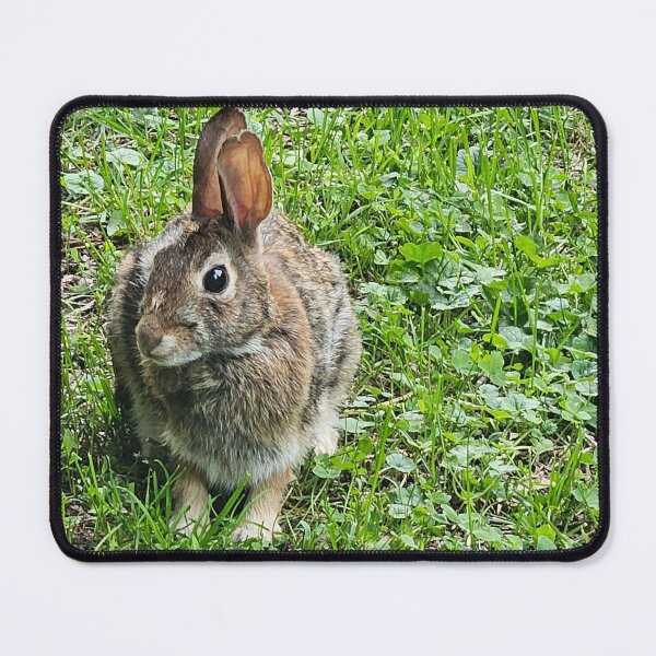 Item preview, Closeup of Wild Rabbit designed and sold by Quincy-Hedgehog.