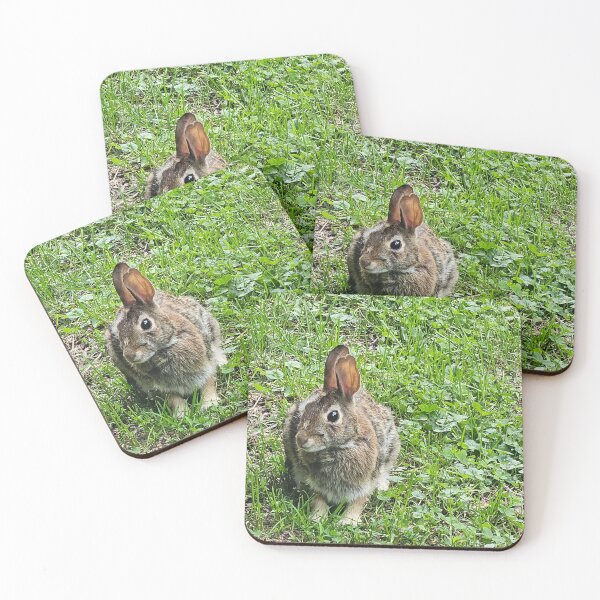 Item preview, Closeup of Wild Rabbit designed and sold by Quincy-Hedgehog.