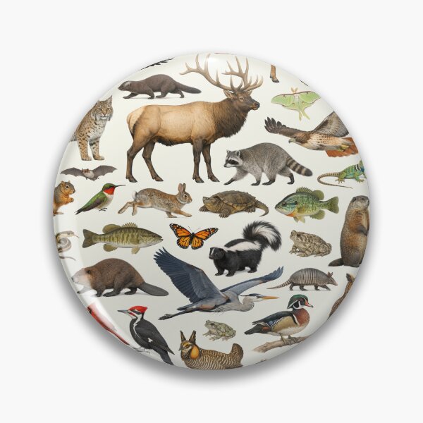 Item preview, Animals of Missouri Retro Style Identification Chart designed and sold by kakarikihill.
