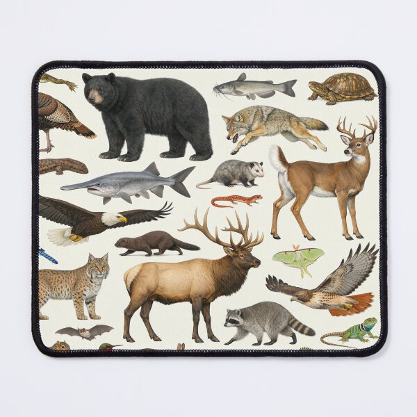 Item preview, Animals of Missouri Retro Style Identification Chart designed and sold by kakarikihill.