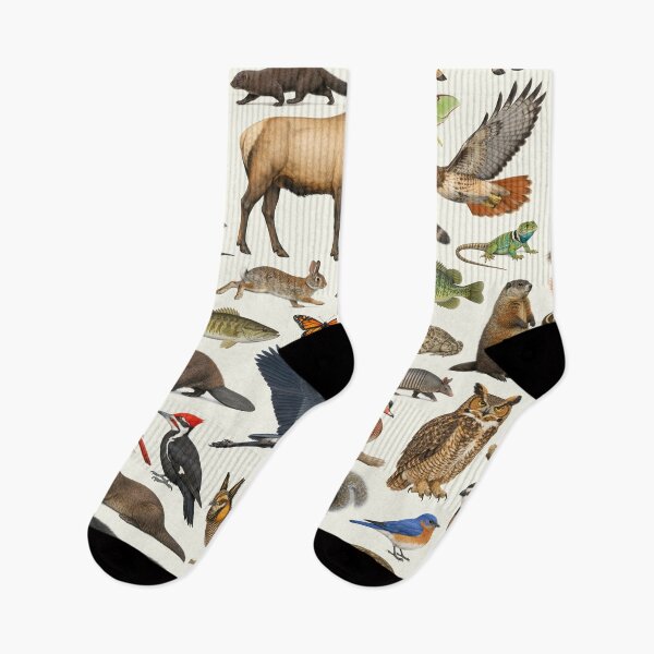 Item preview, Animals of Missouri Retro Style Identification Chart designed and sold by kakarikihill.