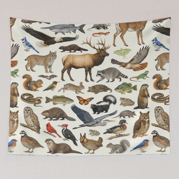 Item preview, Animals of Missouri Retro Style Identification Chart designed and sold by kakarikihill.