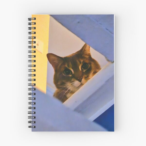 Item preview, Cat at the Top of the Stairs designed and sold by Quincy-Hedgehog.