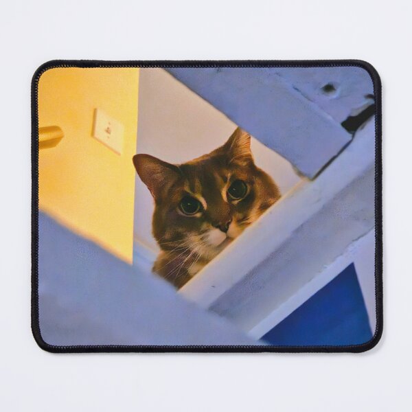 Item preview, Cat at the Top of the Stairs designed and sold by Quincy-Hedgehog.