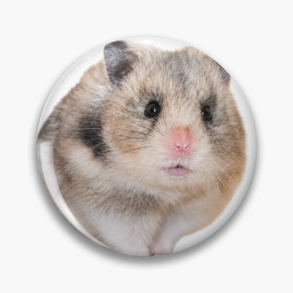 Item preview, Gym Hamster Workout Motivation designed and sold by adamlemon12.
