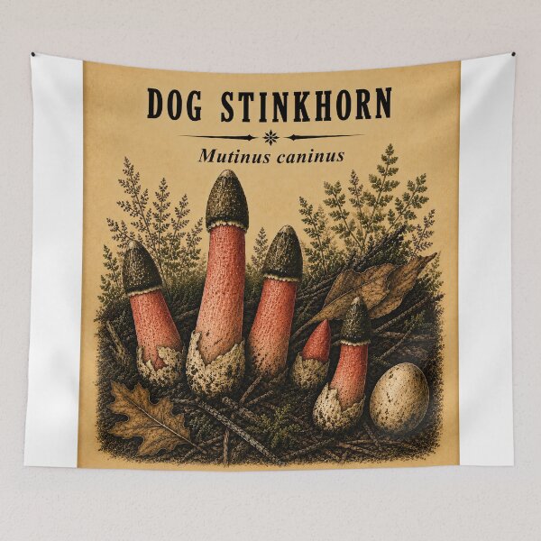 Item preview, Dog Stinkhorn Mushrooms designed and sold by StudioBloodmoon.