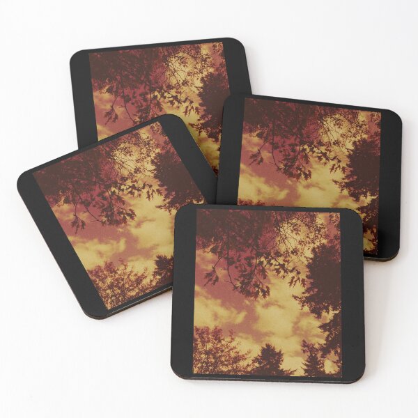 Item preview, looking up at the leaves and clouds in crieff (scotland) (may 2026) designed and sold by photosbykel.