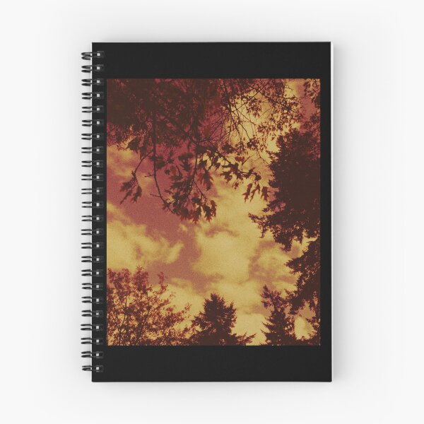Item preview, looking up at the leaves and clouds in crieff (scotland) (may 2026) designed and sold by photosbykel.