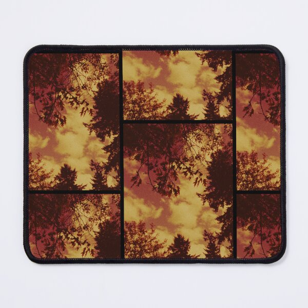 Item preview, looking up at the leaves and clouds in crieff (scotland) (may 2026) designed and sold by photosbykel.