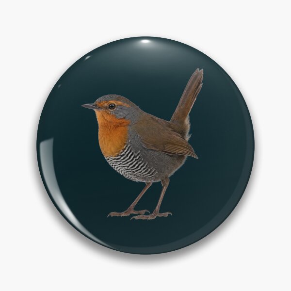 Item preview, Chucao Tapaculo designed and sold by ArunDandiboina.