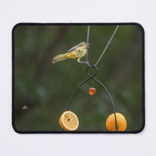 Item preview, I Love Oranges, but I Hate Bees designed and sold by CarolM.