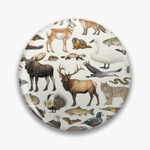 Item preview, Animals of Montana Retro Style Identification Chart designed and sold by kakarikihill.