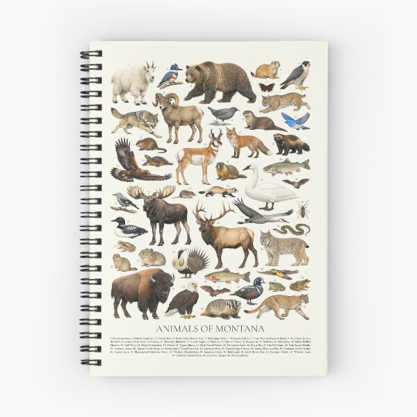 Item preview, Animals of Montana Retro Style Identification Chart designed and sold by kakarikihill.