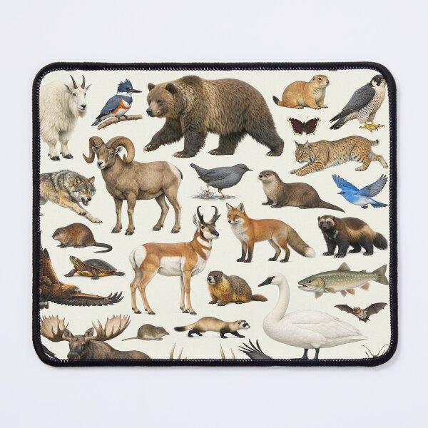 Item preview, Animals of Montana Retro Style Identification Chart designed and sold by kakarikihill.