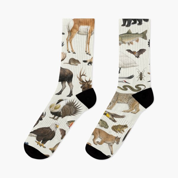 Item preview, Animals of Montana Retro Style Identification Chart designed and sold by kakarikihill.