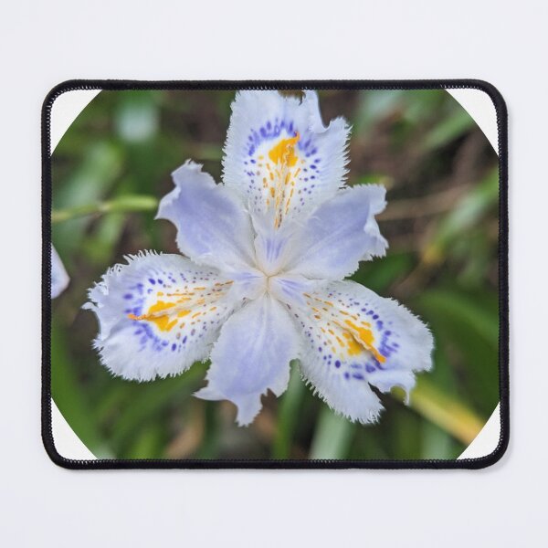 Item preview, Japanese Iris Butterfly Flower designed and sold by Sssage's.