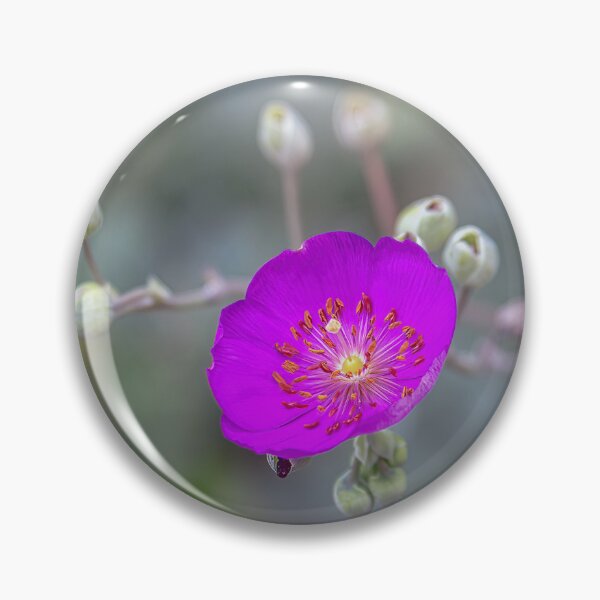 Item preview, Rock Purslane designed and sold by CarolM.