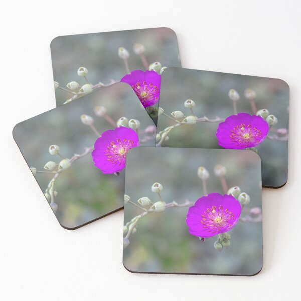 Item preview, Rock Purslane designed and sold by CarolM.