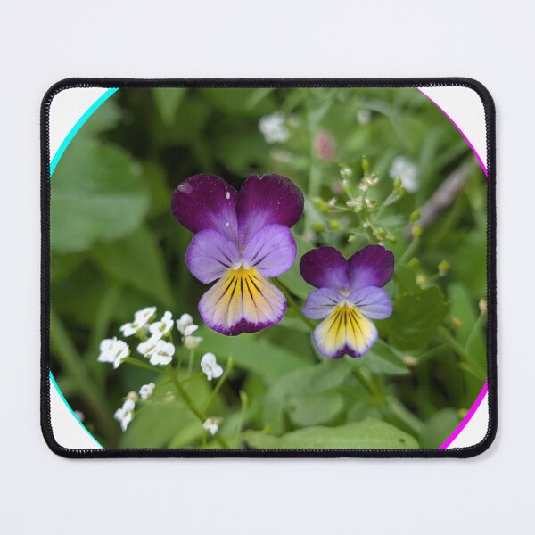 Item preview, Viola Tricolor Purple Pansy designed and sold by Sssage's.