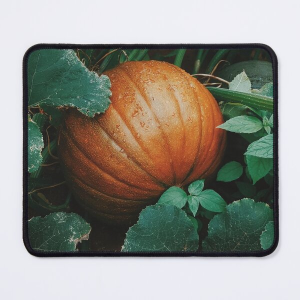 Item preview, Cozy Rustic Fall Pumpkin Patch & Squash Harvest | Vintage Cottagecore Autumn Aesthetic | Witchy Spooky Season & Thanksgiving | No AI | Vibrant | Groteskin designed and sold by Groteskin.