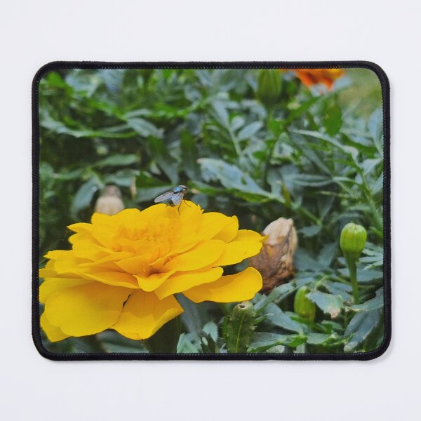 Item preview, Fly on Marigold designed and sold by Quincy-Hedgehog.