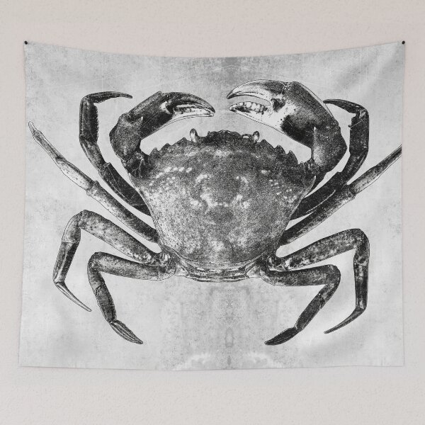 Item preview, European Green Crab Dark Marine Natural History Specimen Art designed and sold by Ghoul Enterprises.
