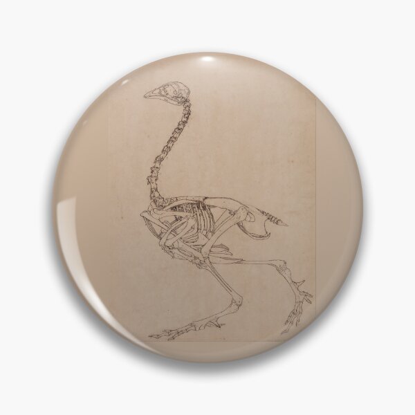 Item preview, Bird Skeleton by George Stubbs designed and sold by Amanda1775.
