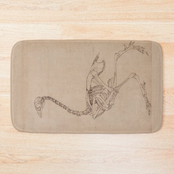 Item preview, Bird Skeleton by George Stubbs designed and sold by Amanda1775.
