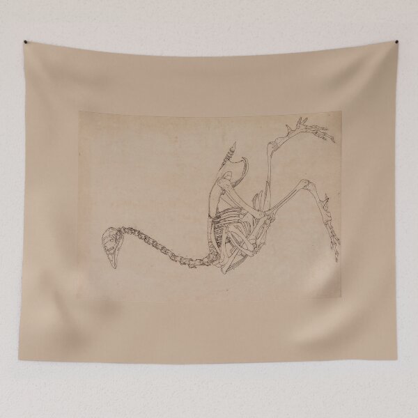 Item preview, Bird Skeleton by George Stubbs designed and sold by Amanda1775.