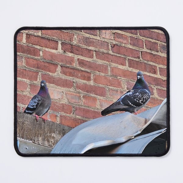 Item preview, Pigeons Perched on Building Side designed and sold by Quincy-Hedgehog.