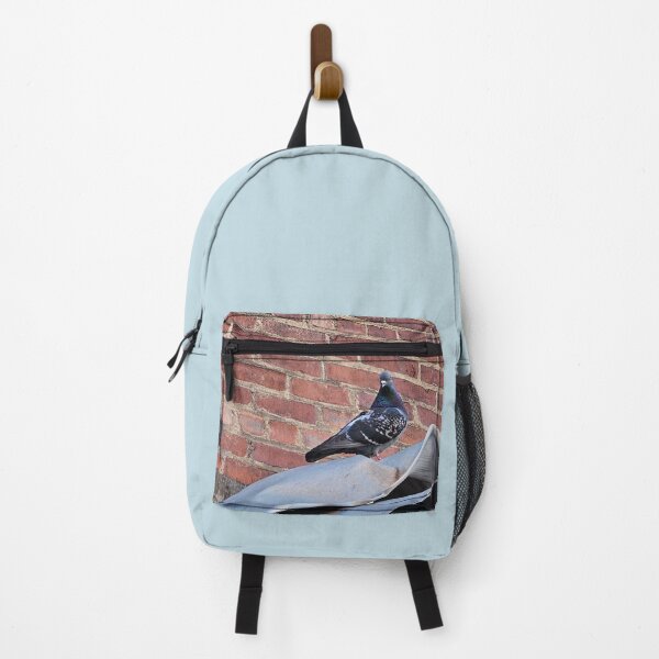 Item preview, Pigeons Perched on Building Side designed and sold by Quincy-Hedgehog.