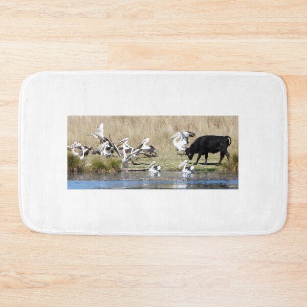 Item preview, Cow verses the Pelicans! An epic dual designed and sold by Lynette2025.