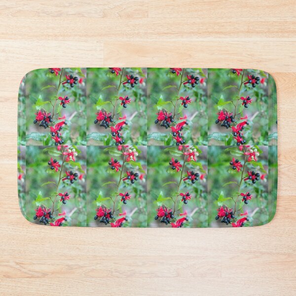 Item preview, Mickey Mouse Plant (Ochna serrulata, subtropical plant) designed and sold by CarolM.