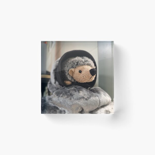 Item preview, Hedgehog Plush in Coat Sleeve designed and sold by Quincy-Hedgehog.