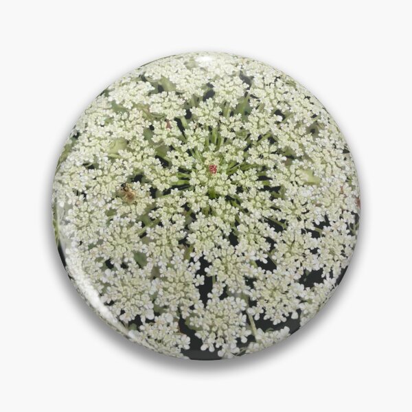 Item preview, Wild Carrot Flowers  designed and sold by Amanda1775.