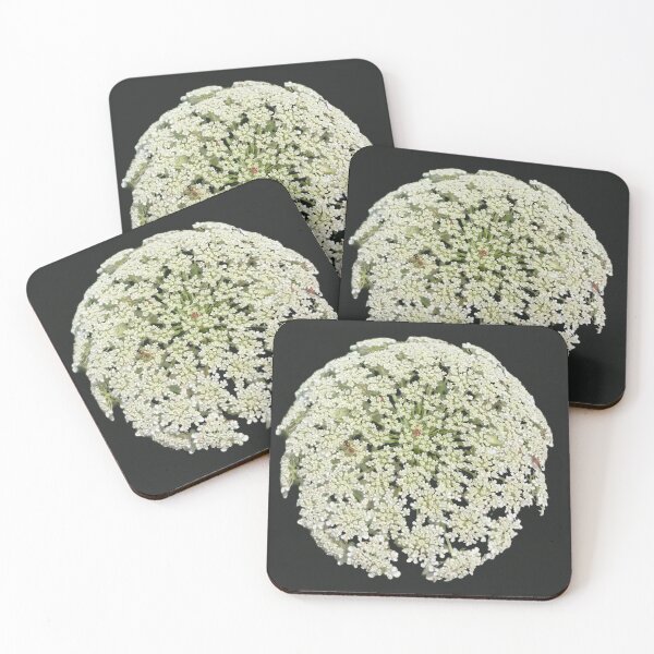 Item preview, Wild Carrot Flowers  designed and sold by Amanda1775.