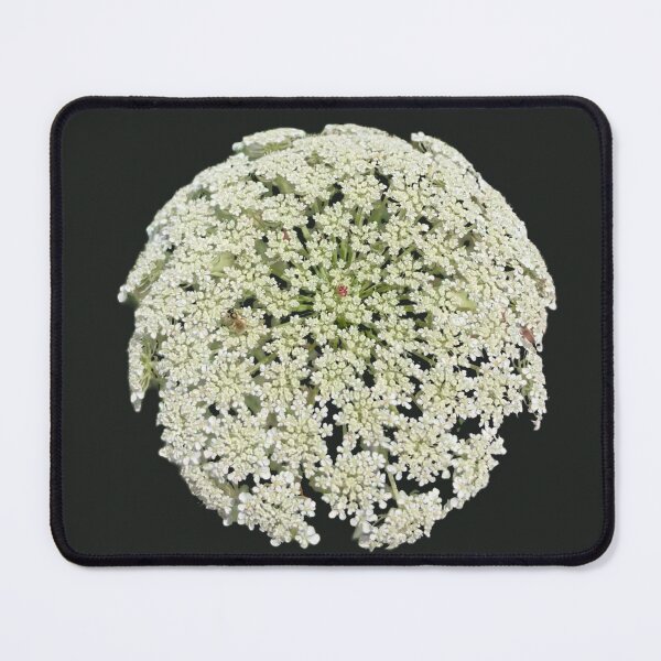 Item preview, Wild Carrot Flowers designed and sold by Amanda1775.