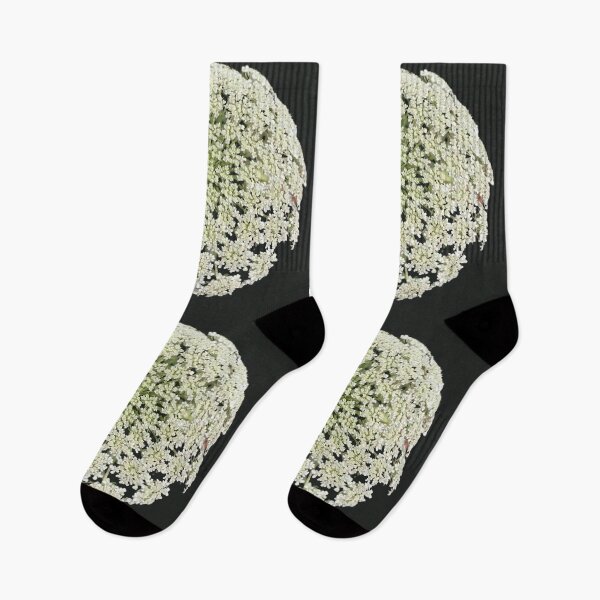 Item preview, Wild Carrot Flowers  designed and sold by Amanda1775.