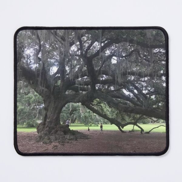 Item preview, Tree of Life Audubon Park NOLA designed and sold by Donlan-2211.