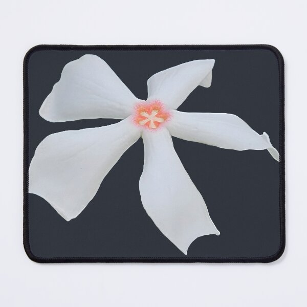 Item preview, Sea Mango Flower Minimalist Photo designed and sold by Deep Descent.