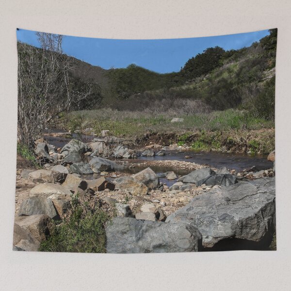 Artikelvorschau, Natur in San Diego entworfen und verkauft von heatherfriedman.