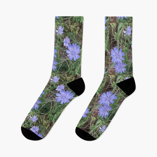 Item preview, Chicory  designed and sold by Amanda1775.