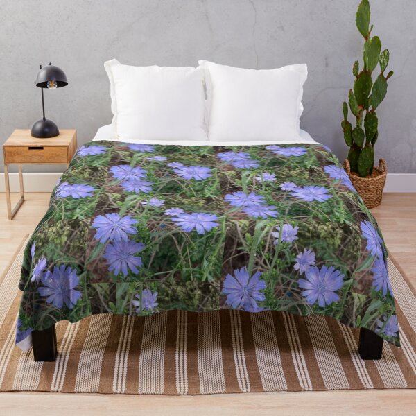 Item preview, Chicory designed and sold by Amanda1775.
