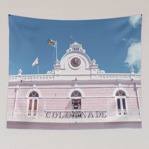 Item preview, Colonial Pink Facade designed and sold by assaf.