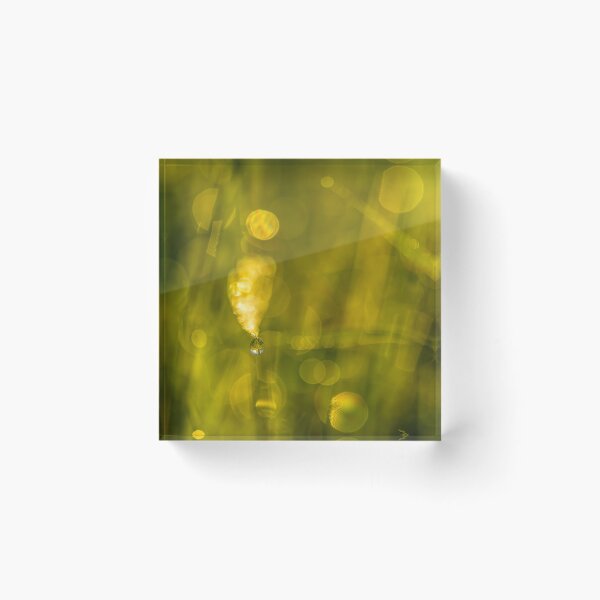Item preview, Dew Drop on Grass designed and sold by Veikko  Suikkanen.