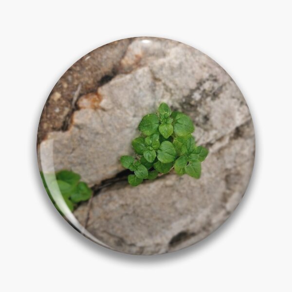 Item preview, Starwort between rocks designed and sold by Lunar-Dragon.