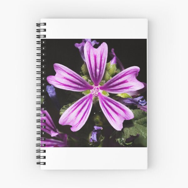 Item preview, Flower designed and sold by XaviFotografia.