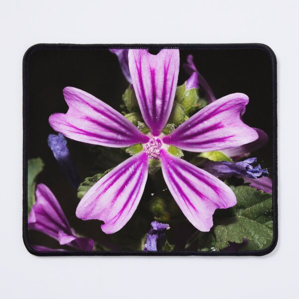 Item preview, Flower designed and sold by XaviFotografia.