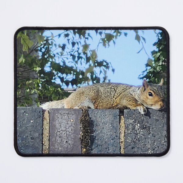Item preview, Cute Squirrel on Stone Wall Nature Photography designed and sold by Deep Descent.